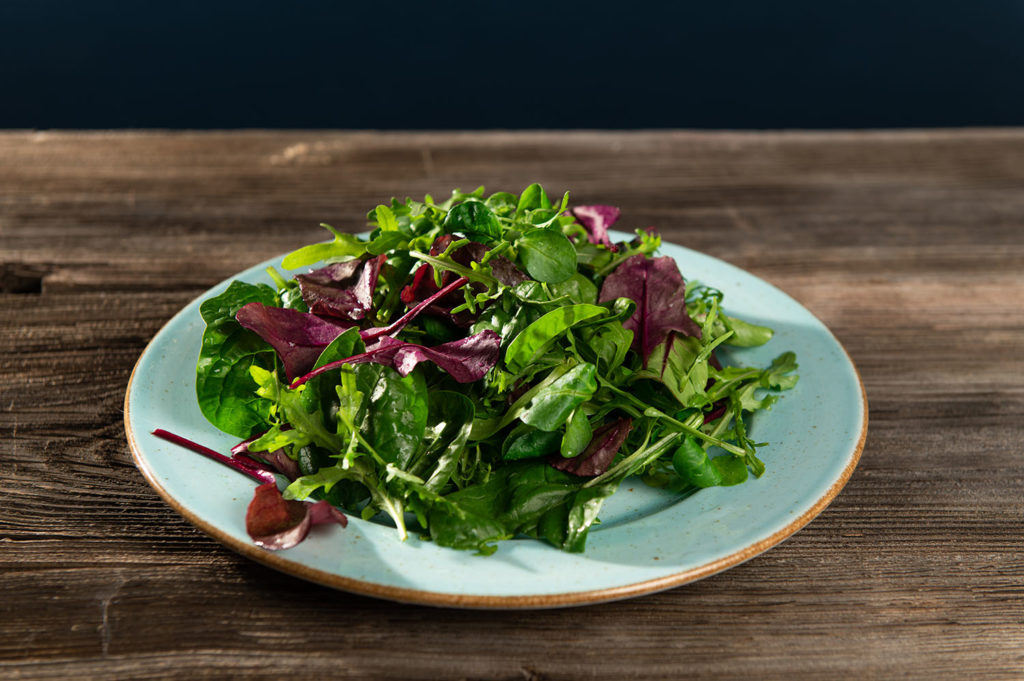 Plantation de salades : Ce qu’il faut savoir