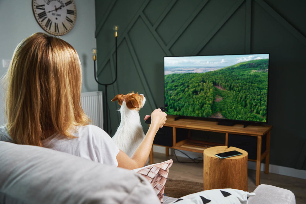 Choisir le meilleur meuble TV pour votre écran plat