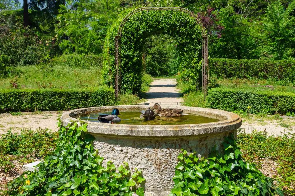 Comment créer un bassin à poissons dans un jardin ? 