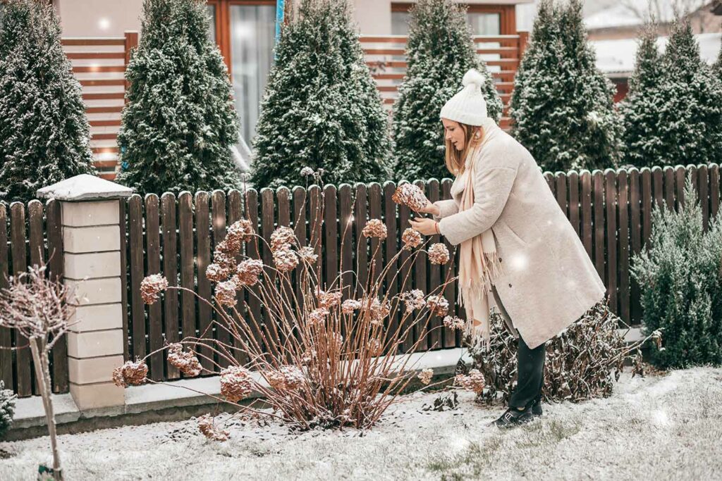 Idées de jardins d’hiver : profiter de la nature malgré le froid